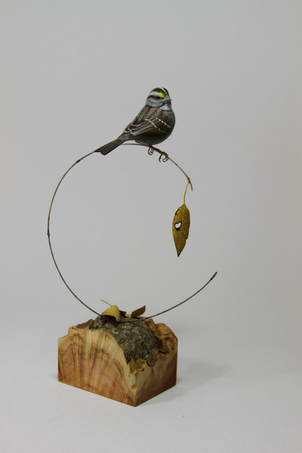 White-throated Sparrow
SOLD, Easton Waterfowl Festival